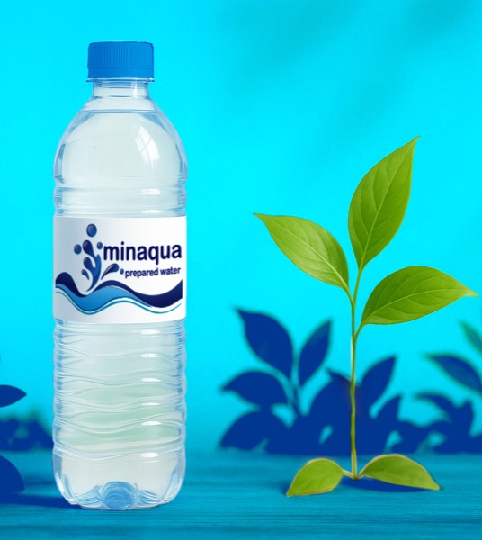 Minaqua bottle